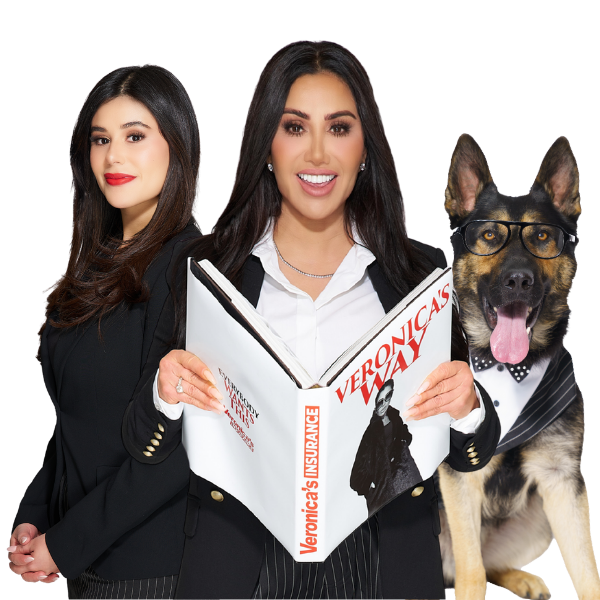 The protection you need